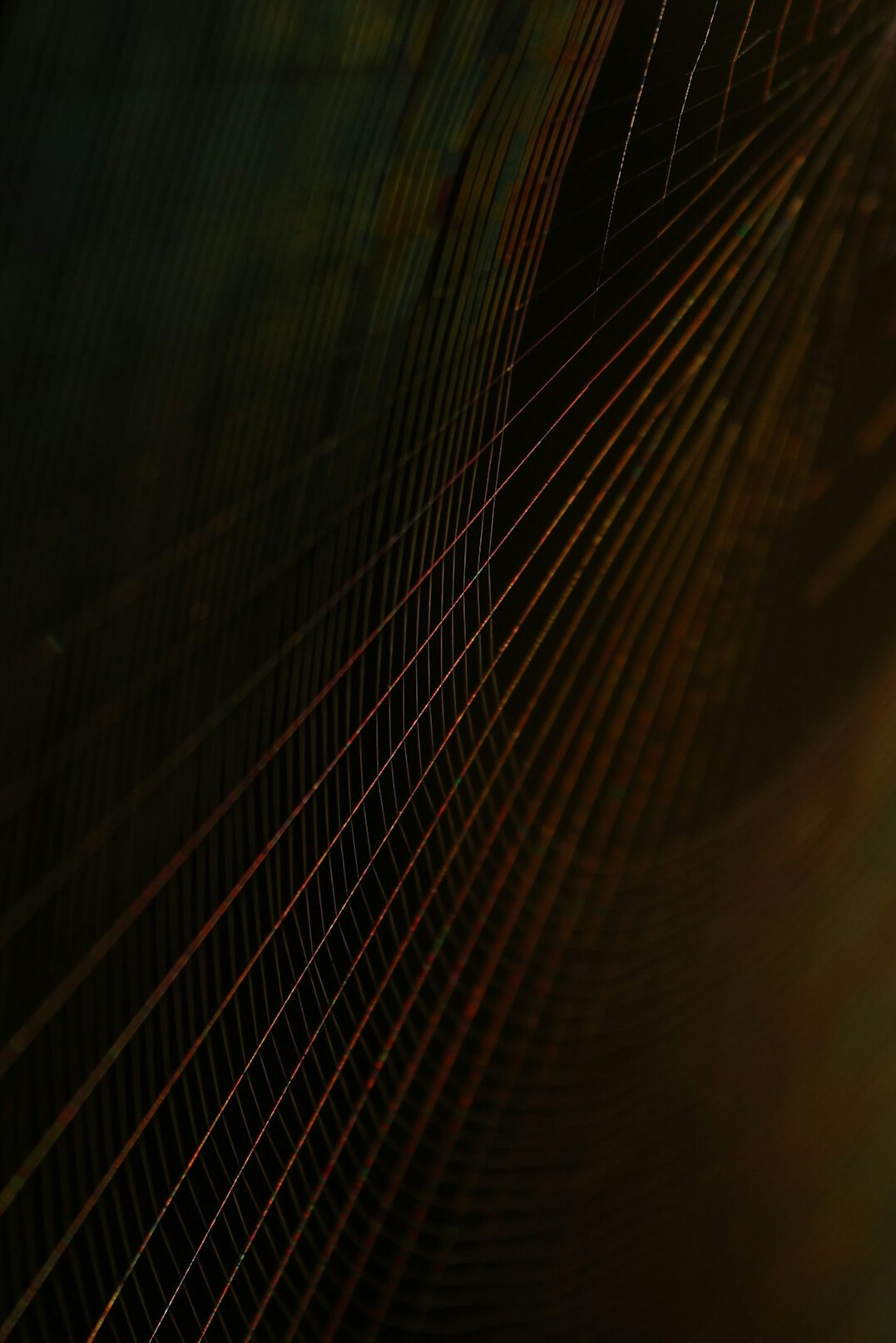 Lines of programming code on a dark screen
